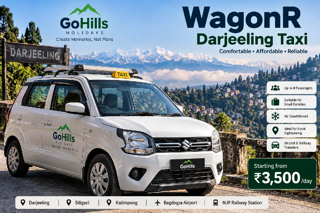 WagonR Darjeeling Taxi Adventure.webp