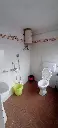 unnamed (11).webp