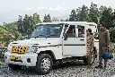Gohills Bolero 3.webp